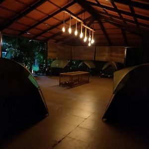 Camping Tents Mango Orchard view